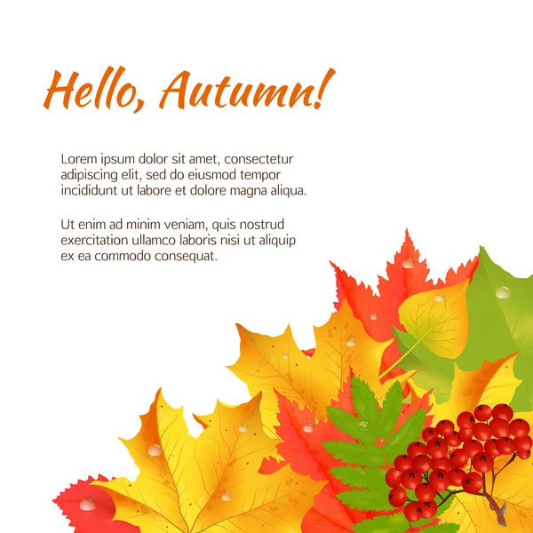 Banner de felicitación de otoño . — Vector de stock