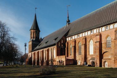 Kaliningrad Königsberg katedralde tarafında