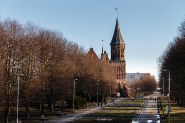 Square Park heykeller Kaliningrad Königsberg katedralde yol açar.