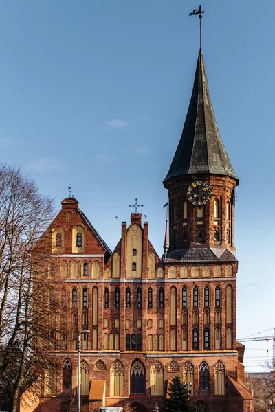 Den viktigaste fasaden på Königsbergs katedral i Kaliningrad — Stockfoto
