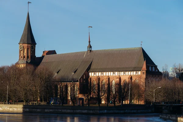 Sidan av Königsbergs katedral i Kaliningrad. — Stockfoto