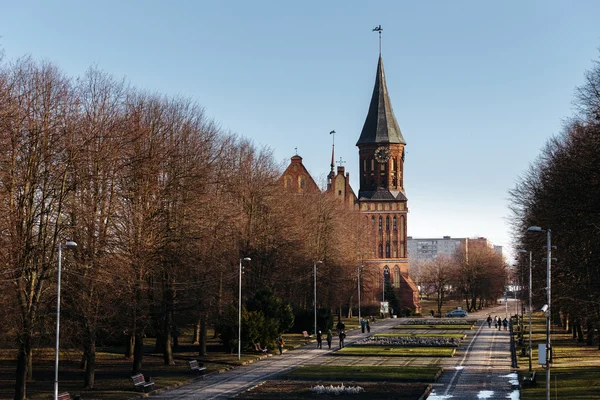 Square Park skulpturer leder till Königsbergs katedral i Kaliningrad. — Stockfoto