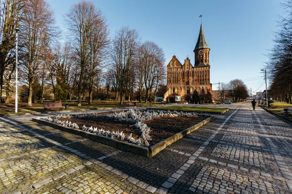 Området i skulpturparken nära Königsbergs katedral i Kaliningrad — Stockfoto