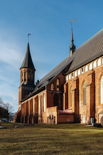 加里宁格勒的柯尼斯堡大教堂一侧 — 图库照片