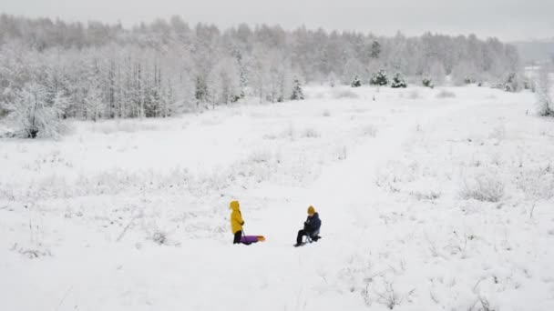 Dzieci bawią się na tle zaśnieżonego lasu. Martwi zimy, zimna pogoda, mróz, śnieg — Wideo stockowe