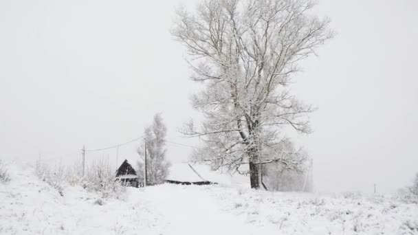 Sněžná zima v Rusku. Zimní chlad ve vesnici, sněžení, pohádkový les — Stock video