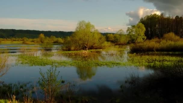 春天的风景。农村地区的河流泛滥 — 图库视频影像