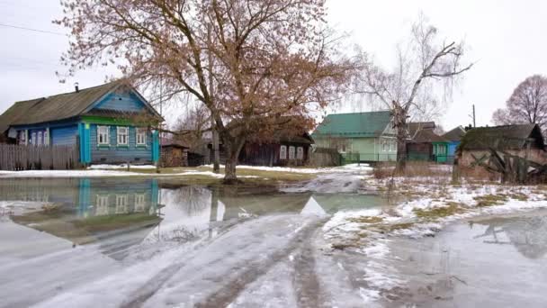 村里的一条乡村道路,被泉水淹没了 — 图库视频影像