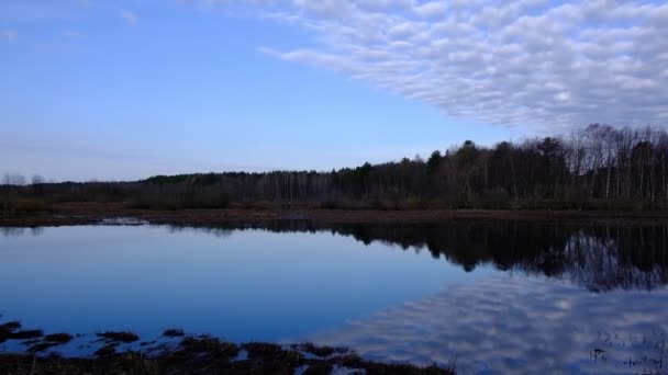 Flodens översvämning tidigt på våren. Morgon, gryning, tystnad, privatliv i naturen — Stockvideo