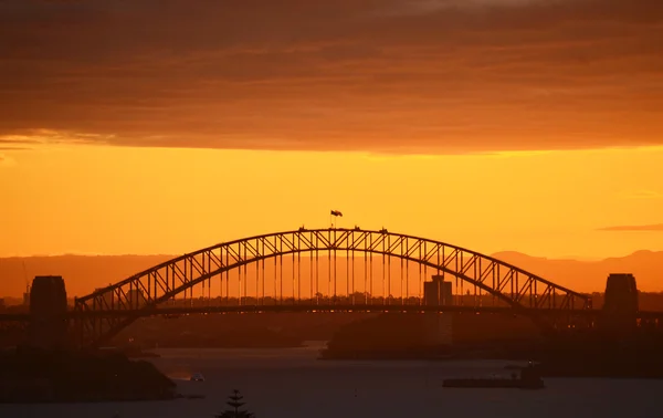 Grand arc du pont du port de Sydney au coucher du soleil — Photo