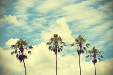 Vintage retro palmiye ağaçları