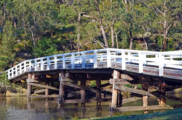 Rustieke houten brug over de rivier in bos — Stockfoto