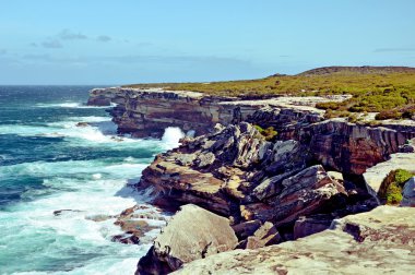 Sağlam Cape Solander kıyı şeridi