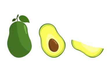 Taze avokado çizimleri, düz tasarım, EPS 10