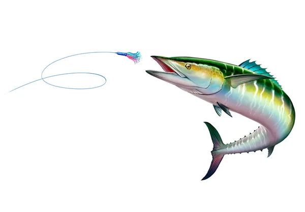 西班牙的蓝鳍金枪鱼绿皮袭击了下海游泳 这是很现实的例子 海洋大型鲭鱼绿色食肉鱼 嘴巴张开 — 图库照片