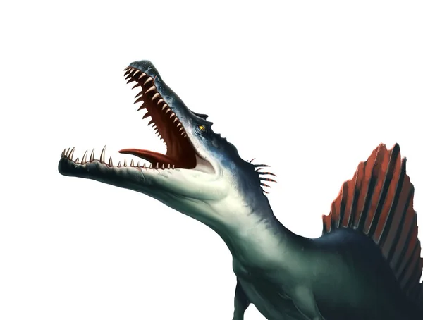 Grande Muso Dinosauro Spinosaurus Urla Illustrazione Isolare Realismo — Foto Stock