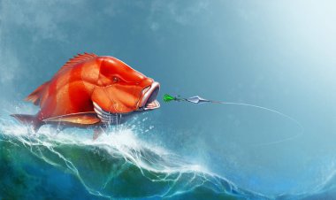 Kızıl imparator levrek balığı yem olarak deniz mürekkepbalıklarına saldırır. Kırmızı