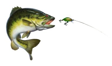 Bass fish jumps out of water isolate realistic illustration. Bass hunts for the golden wobbler bait. perch fishing in the usa on a river or lake at the weekend. clipart