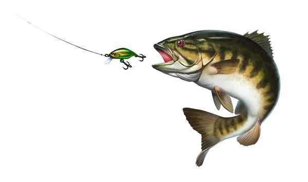 Smallmouth Bass Jumps Out Water Illustration Isolate Realistic Big Smallmouth — Stock Photo, Image