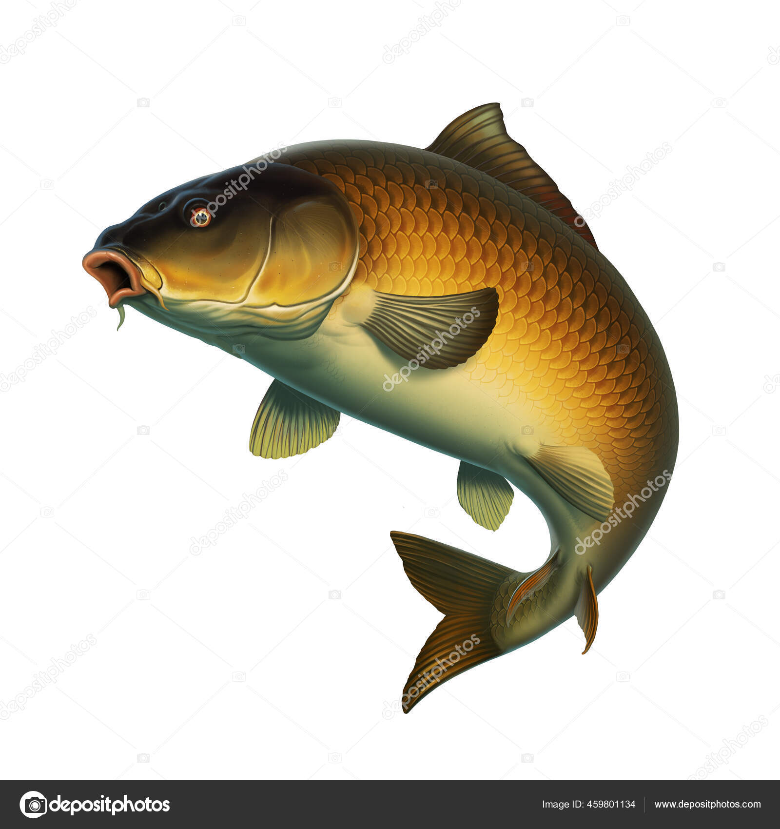ポートフォリオ Trassnick Gmail Com ストック写真 イラストとベクターアート Depositphotos ポートフォリオ Trassnick Gmail Com ストック写真 イラストとベクターアート Depositphotos