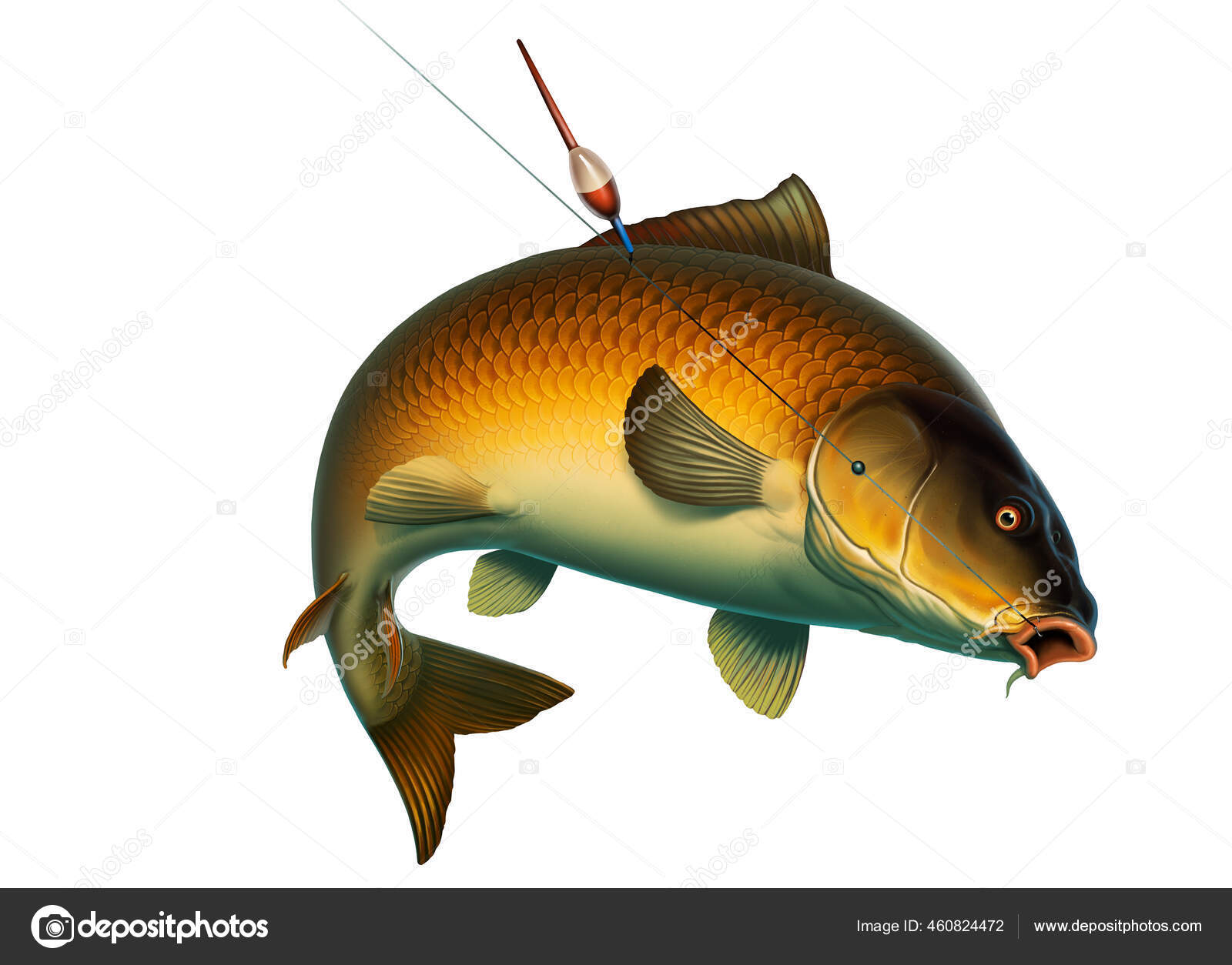 Fishing Carp Float Bait Koi Realism Isolate Illustration Fishing