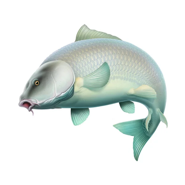 ポートフォリオ Trassnick Gmail Com ストック写真 イラストとベクターアート Depositphotos