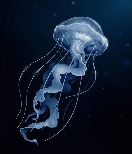 Jellyfish deep sea poisonous illustration realism on a background of dark water. A deep-sea inhabitant of the ocean swims to hunt a clam.