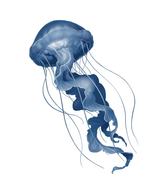 Μέδουσες Βαθιά Θάλασσα Δηλητηριώδη Ρεαλισμό Απεικόνιση Απομονώσει Φωτογραφία Αρχείου