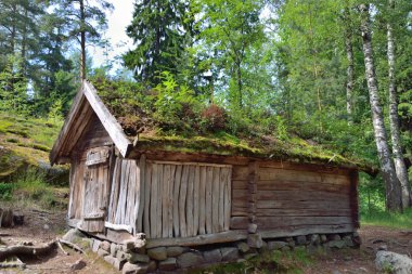 Bitki çatılı ahır