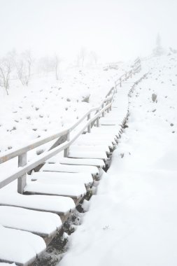 Fin Lapland karlı merdiven