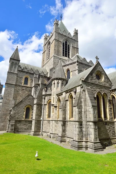 Mesih'in kilise katedral de dublin, İrlanda