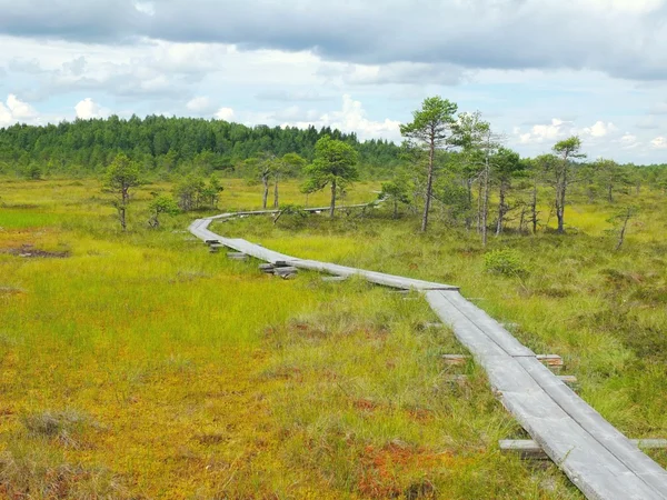 Torronsuo National Park, Finlandiyalı duckboards