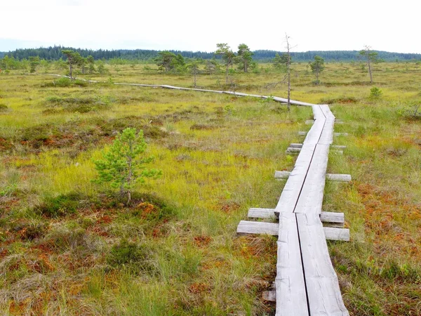 Torronsuo National Park, Finlandiyalı duckboards