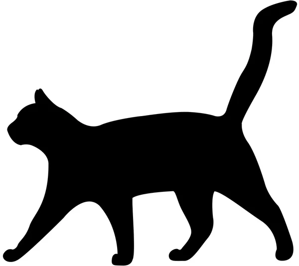 Kočičí silueta vektor — Stockový vektor
