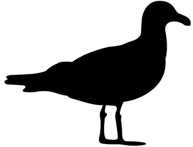 martı siluet vektör