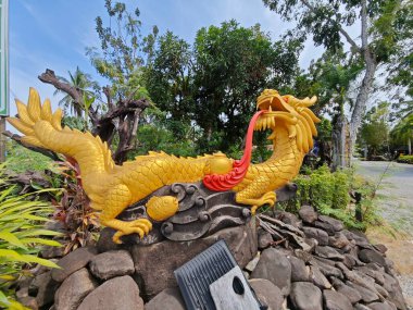 Sert, kirli çimento alanı