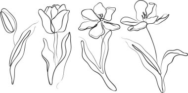 Yapraklar ve taç yaprakları ile laleleri markalaştırmak ve kimlik belirlemek için sanat tarzında açma aşamalarının simgeleri.