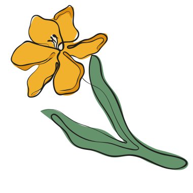 Eskiz tarzında yeşil yapraklı sarı lale tomurcuğu. Arkasında farklı çizgiler ve renk noktaları var. Logolar ve marka elemanları için.