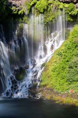 MacArthur-Burney Şelalesi Kuzey Kaliforniya 'da
