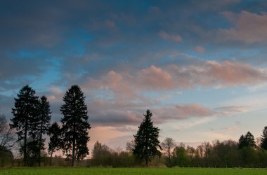 Orman ve alan kenarı gösteren akşam peyzaj
