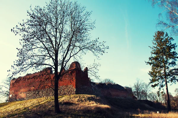 이른 봄에 있는 오래 된 성곽 파 멸 — 스톡 사진