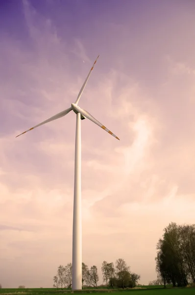 Wind farm on a country road — Stock Photo, Image