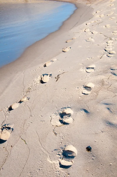 Human footprints on the sand beach