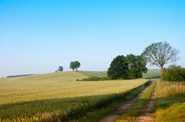 Estrada rural através dos campos — Fotografia de Stock