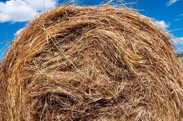 Nahaufnahme eines Heuhaufens am blauen Himmel — Stockfoto