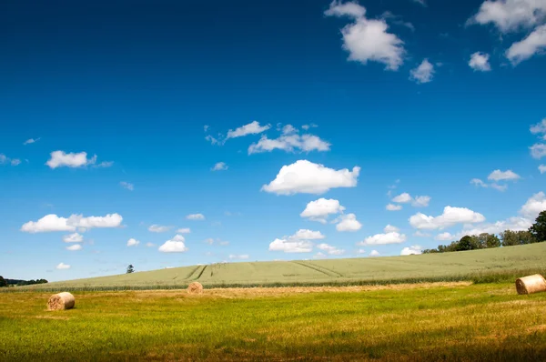 Fardos de ouro na grama verde e céu azul com nuvens — Fotografia de Stock