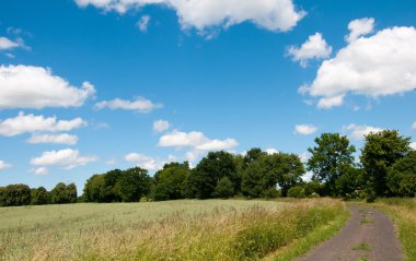 Tarlalardan geçen köy yolu.