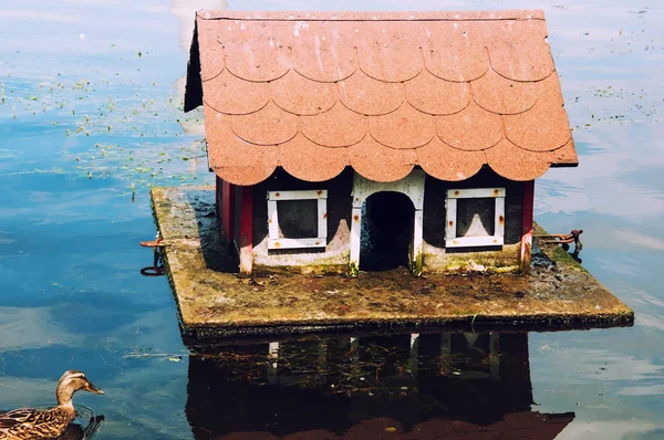 Bella casa per anatre — Foto Stock