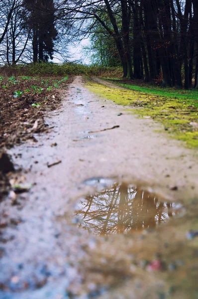 Poça de chuva na estrada do campo — Fotografia de Stock