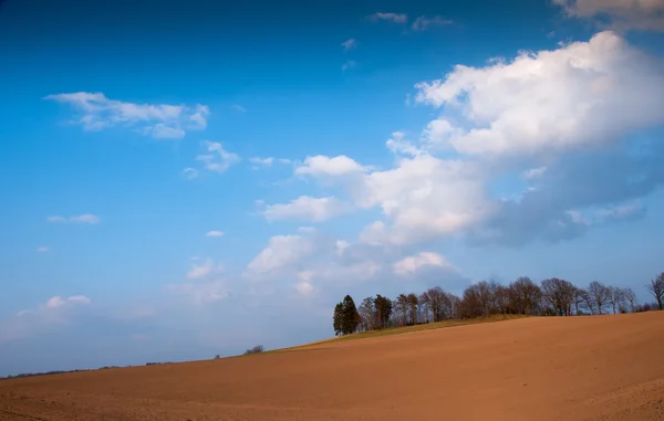Campo arado em tempo de primavera com céu azul — Fotografia de Stock
